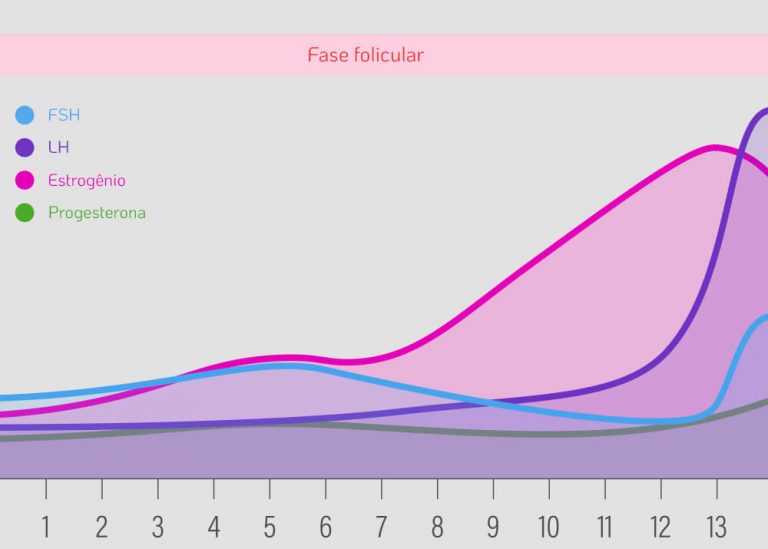 O que é fase folicular no ciclo menstrual Dr Augusto Bussab