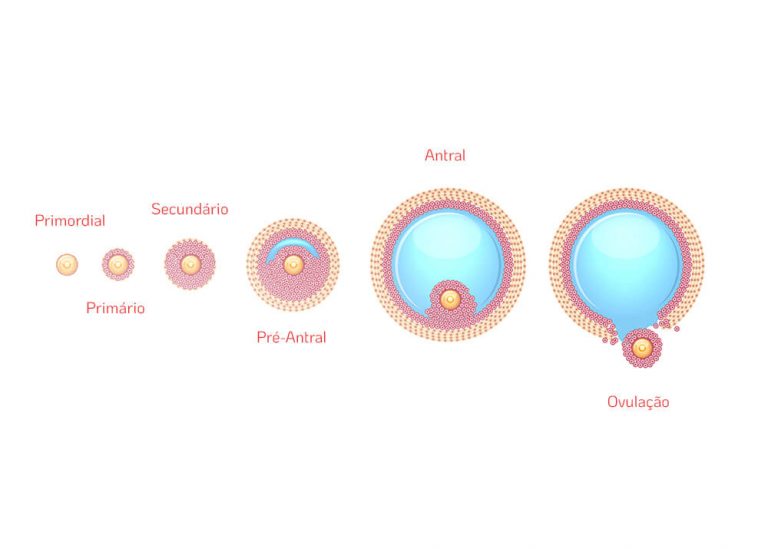 Ovulação e fertilidade existe relação Dr Augusto Bussab