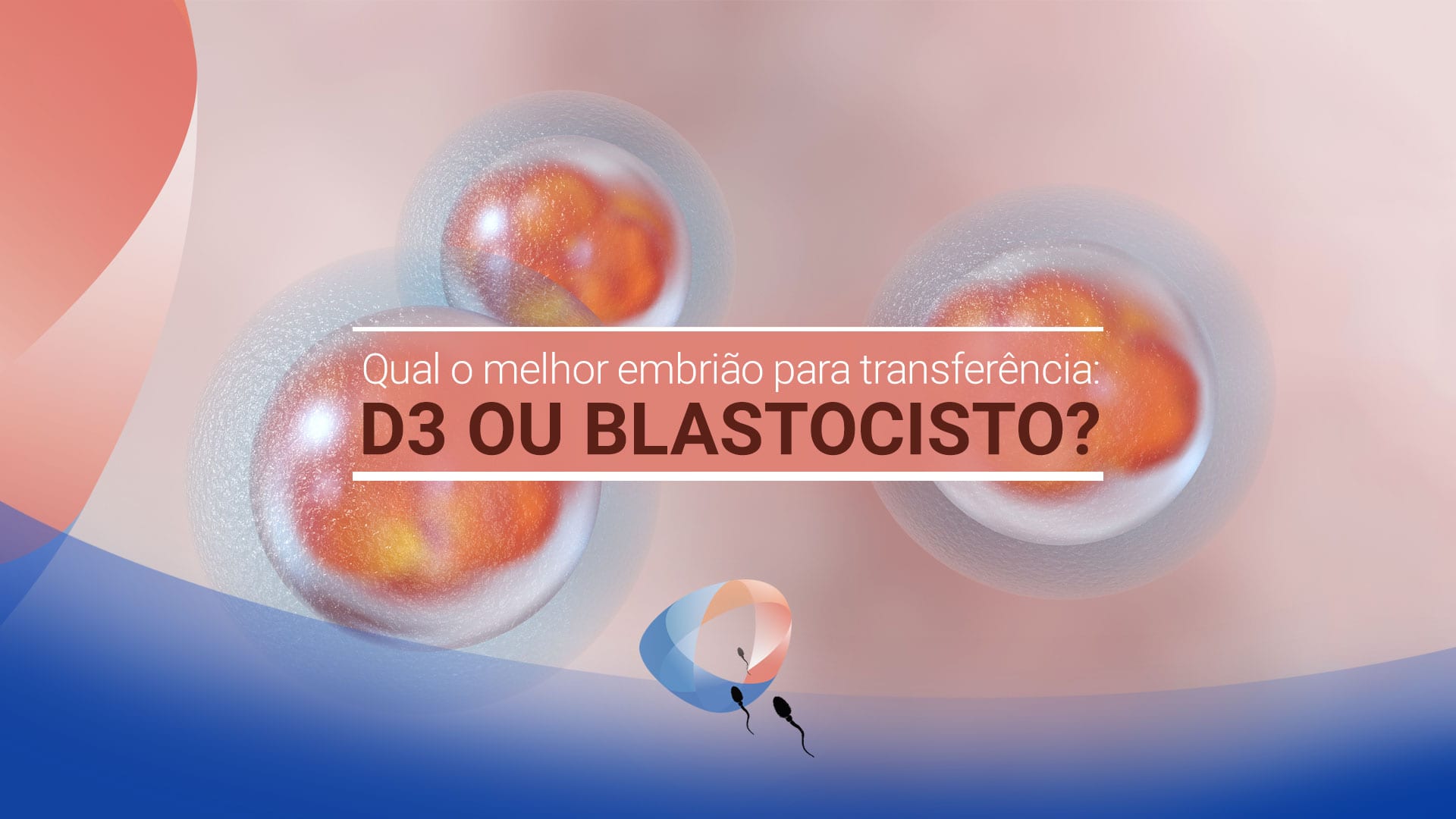 Qual o melhor embrião para transferência: D3 ou blastocisto?