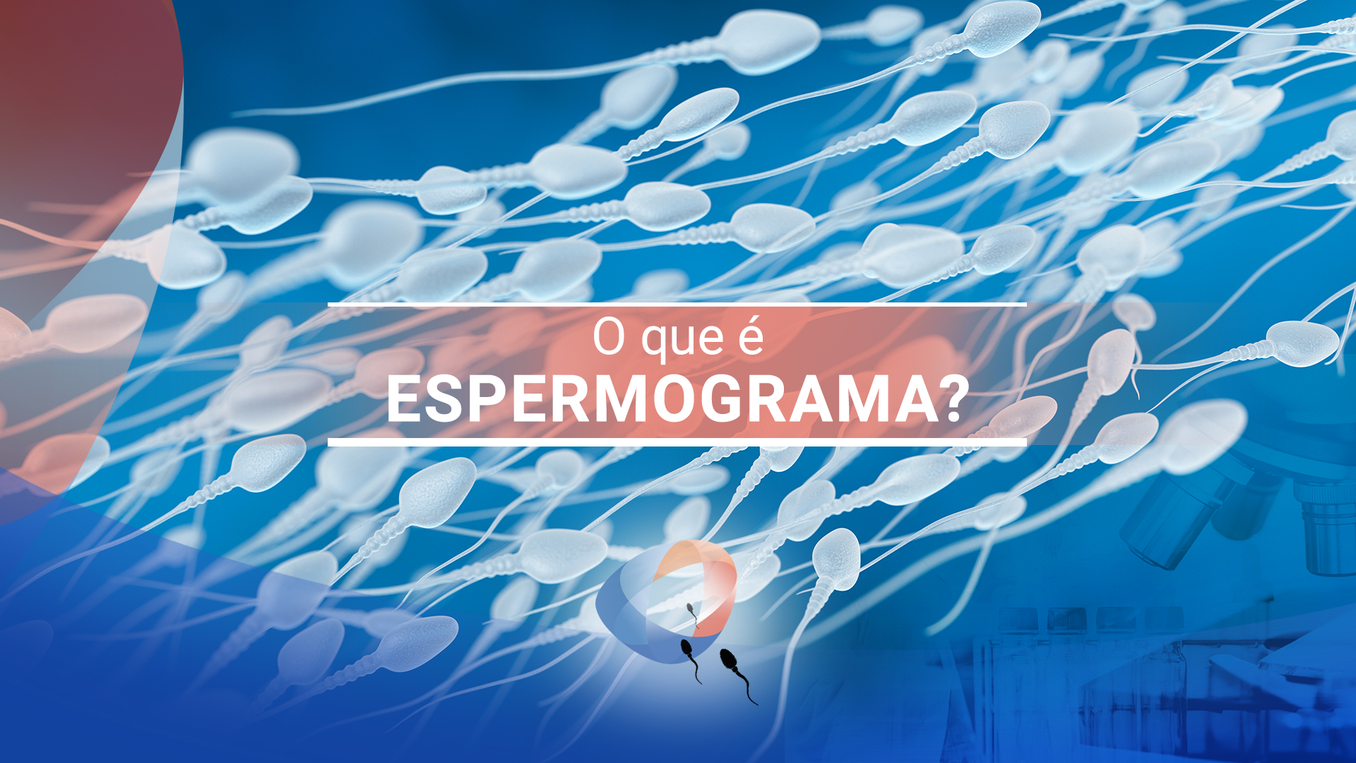 O que é espermograma?