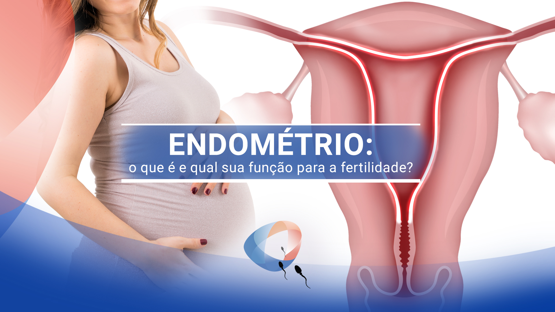 Endométrio: o que é e qual sua função para a fertilidade?