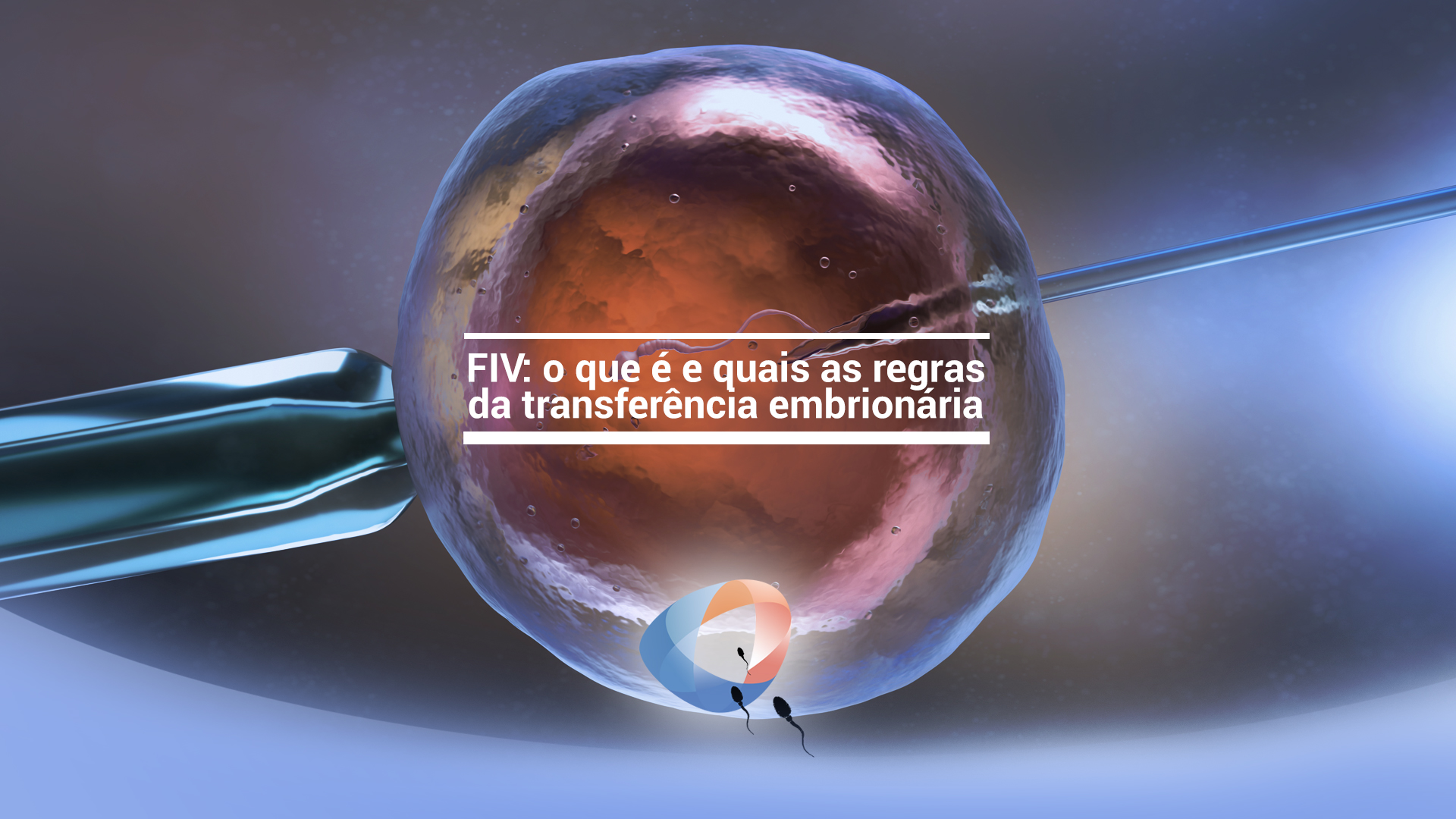 FIV: o que é e quais as regras da transferência embrionária