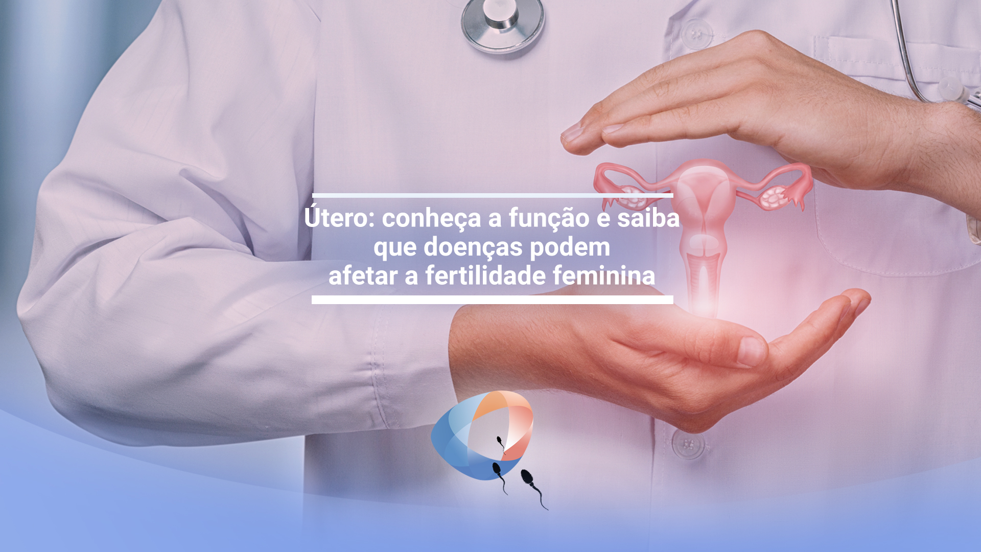 Útero conheça a função e saiba que doenças podem afetar a fertilidade feminina Dr Augusto