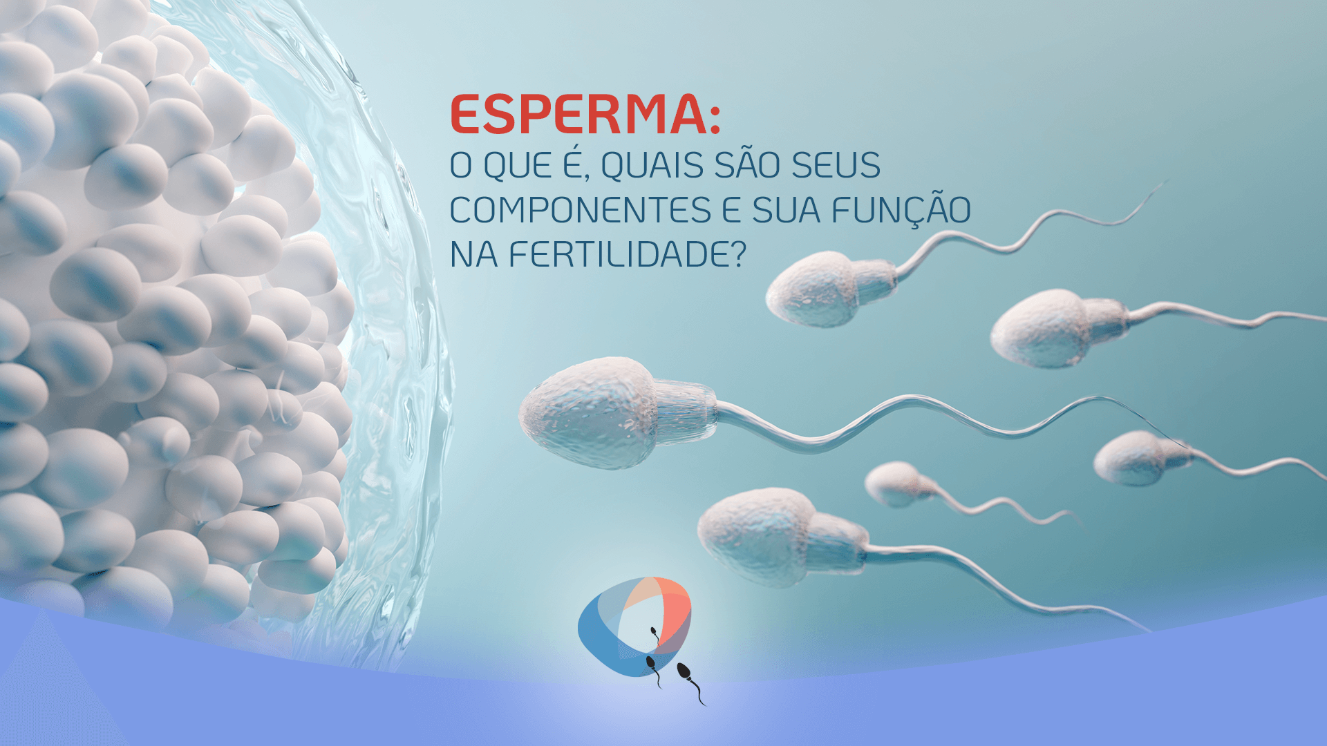 Esperma O Que é Quais São Seus Componentes E Sua Função Na