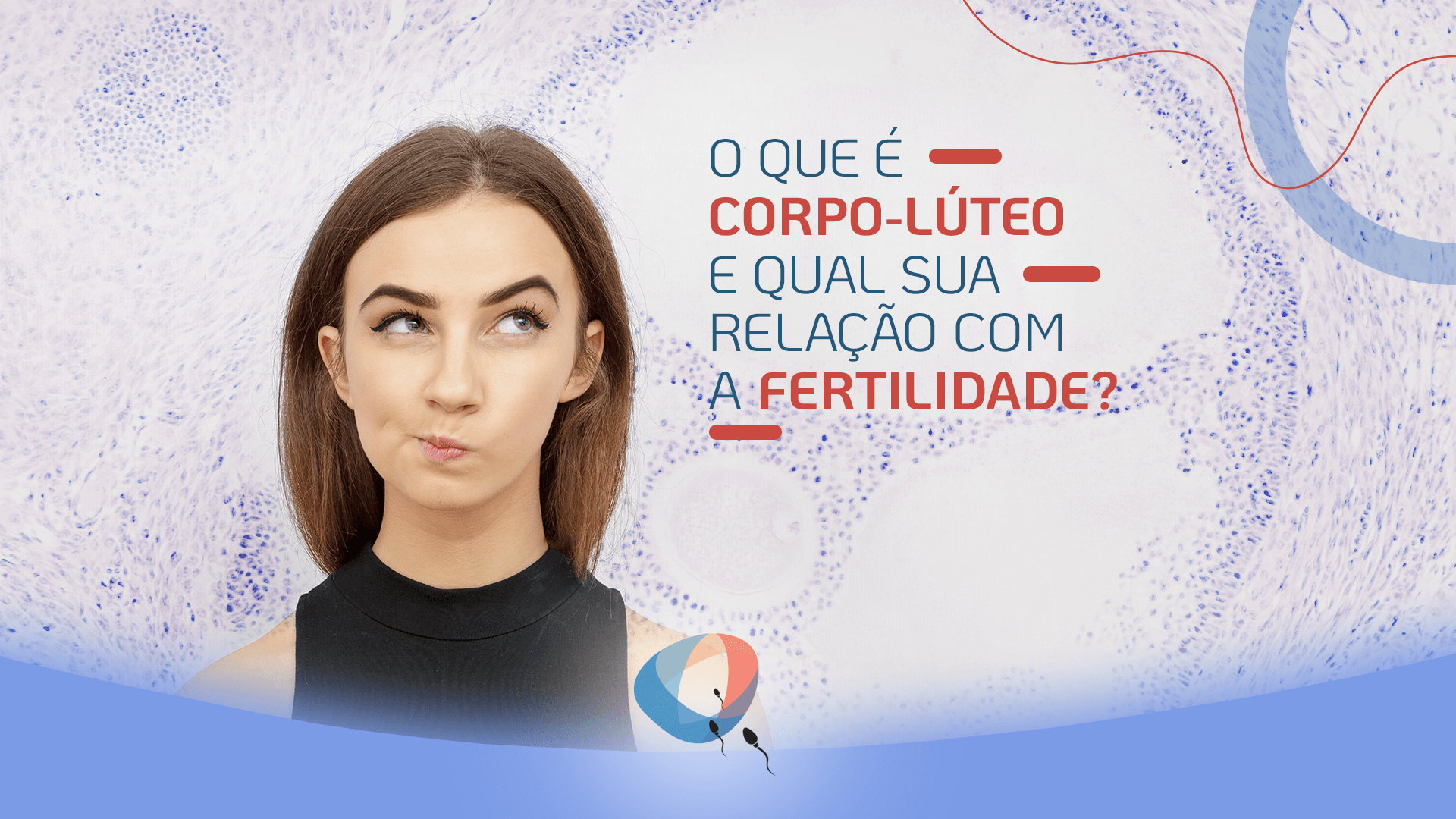 O Que é Corpo Lúteo E Qual Sua Relação Com A Fertilidade Dr Augusto Bussab Reprodução Humana 