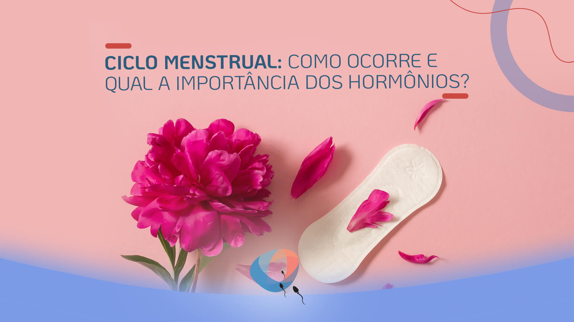 Ciclo menstrual: como ocorre e qual a importância dos hormônios?