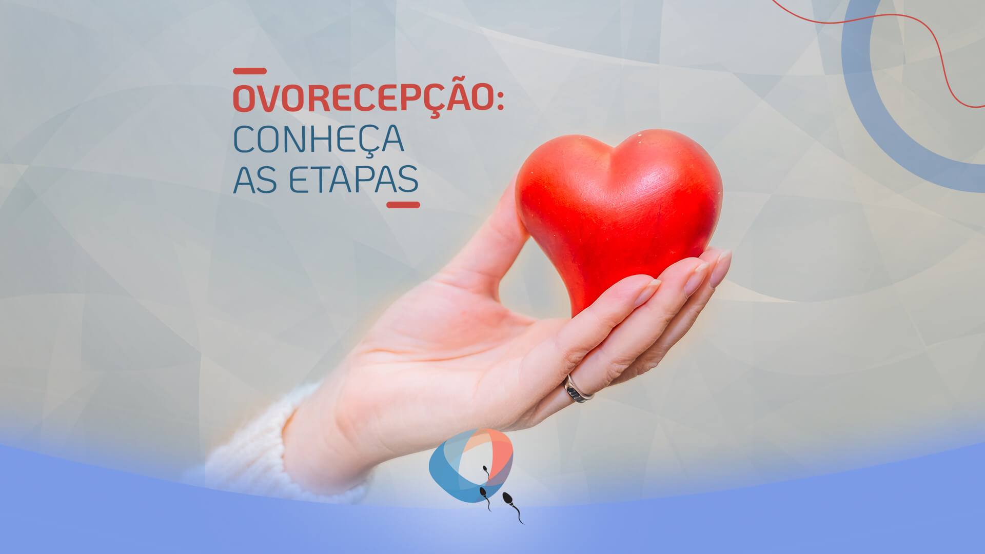 Ovorecepção: conheça as etapas