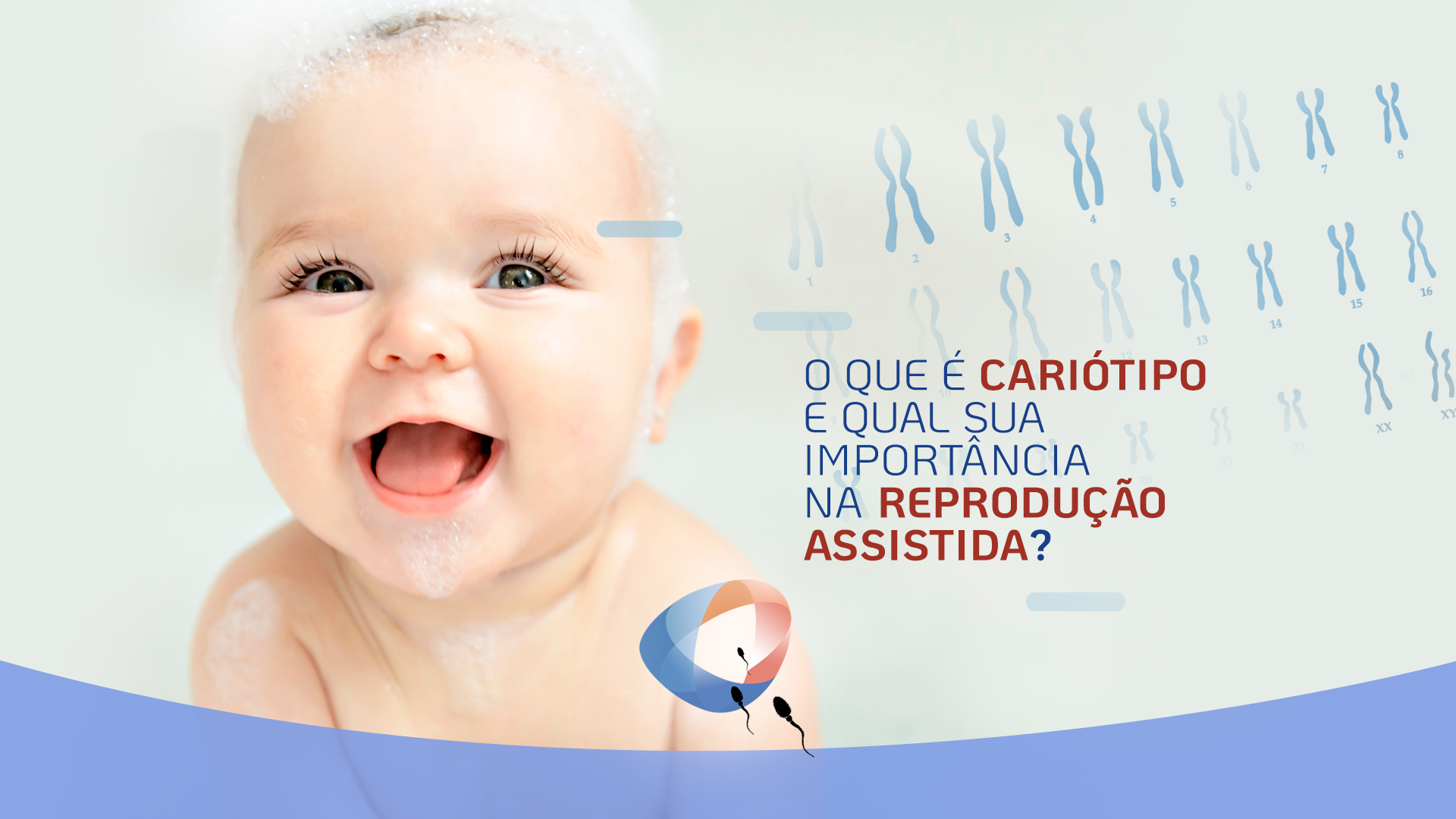 O Que é Cariótipo E Qual Sua Importância Na Reprodução Assistida Dr Augusto Bussab 2247