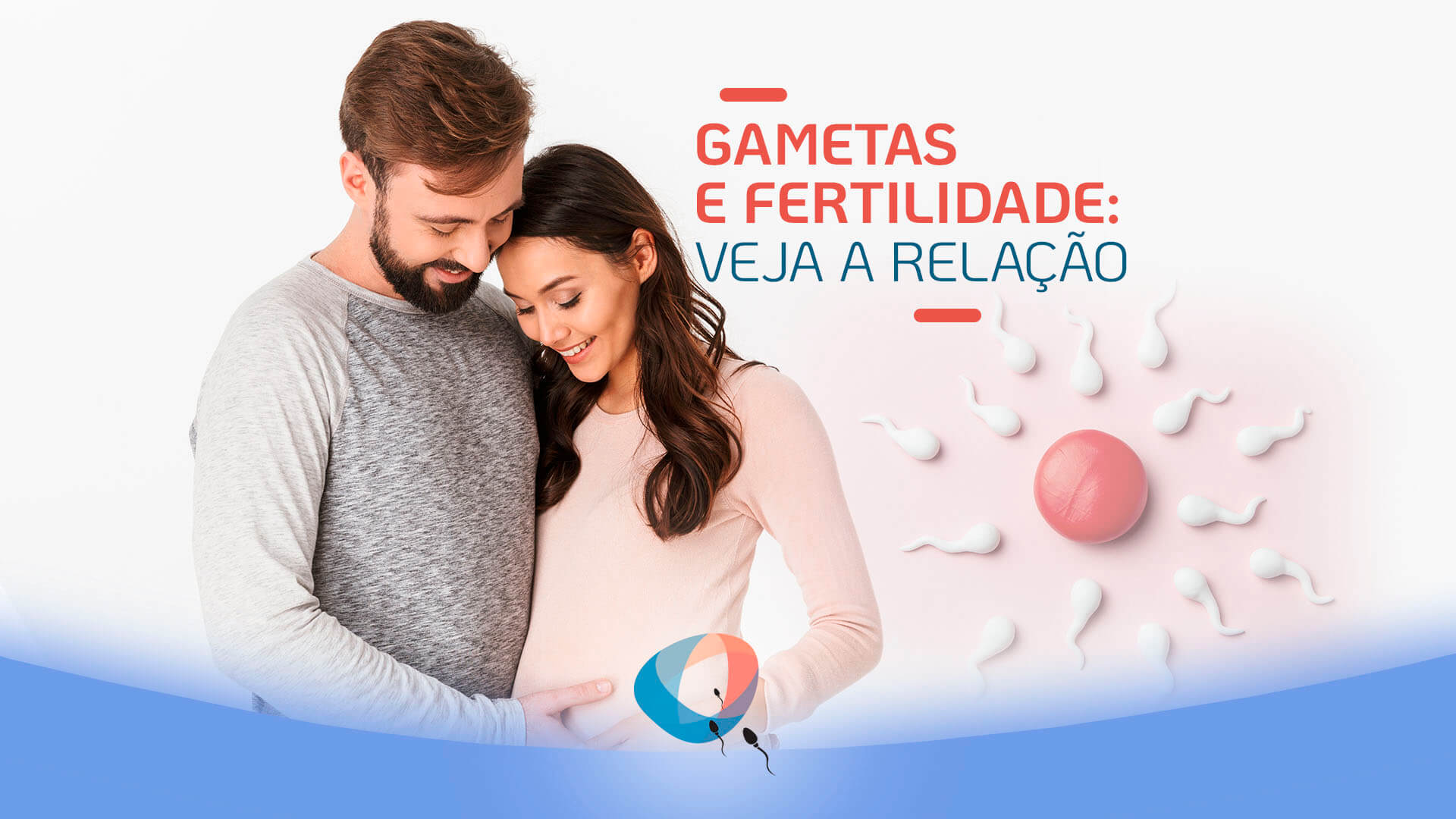 Gametas e fertilidade veja a relação Dr Augusto Bussab Reprodução Humana