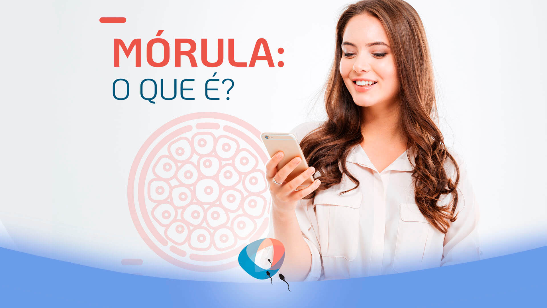 Mórula: o que é? Saiba mais