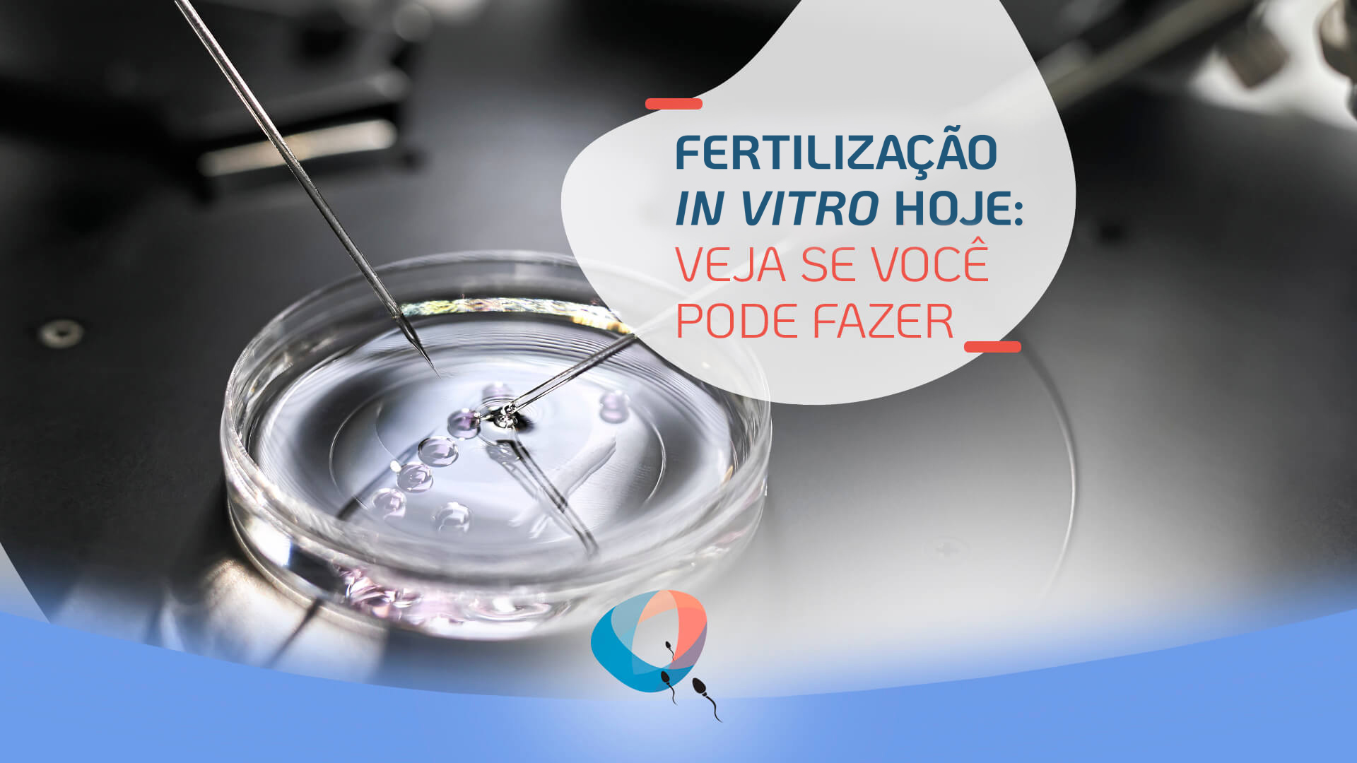 Fertilização in vitro hoje: veja se você pode fazer