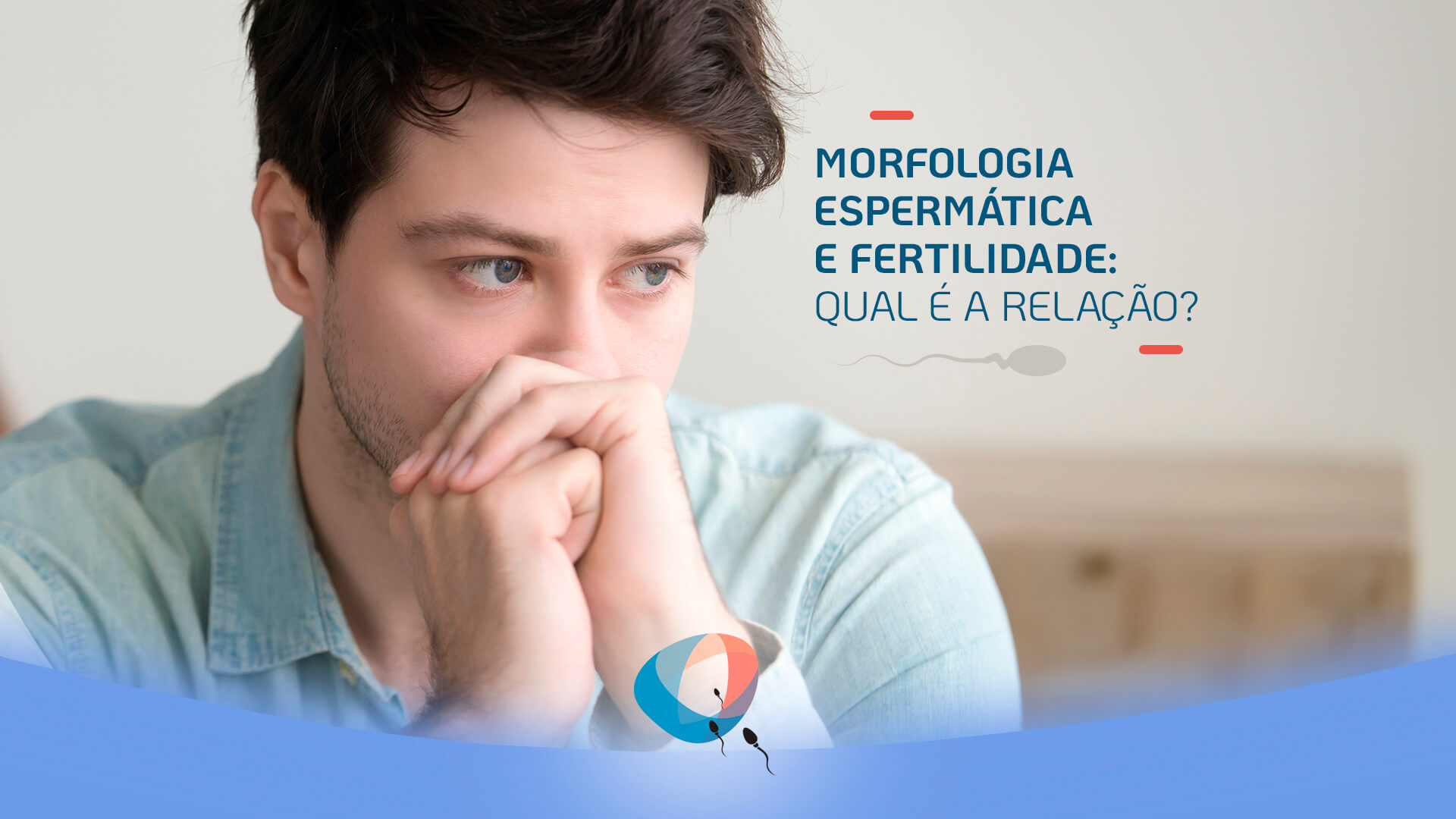 Morfologia espermática e fertilidade: qual é a relação?