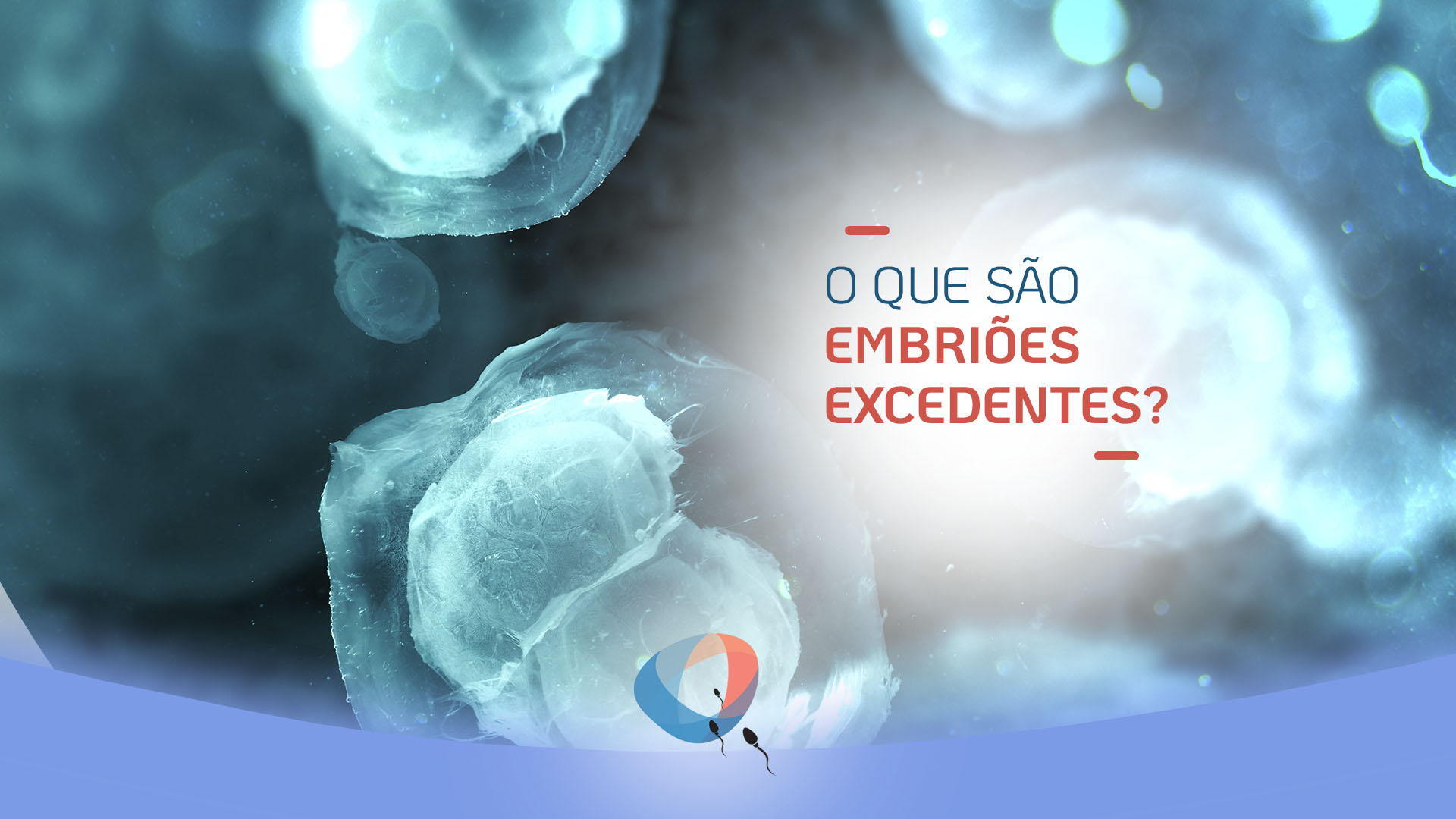 O que são embriões excedentes?